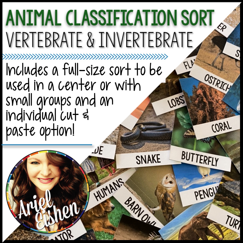 Animal Classification Sort for Vertebrates and Invertebrates | My Life In  Verbs